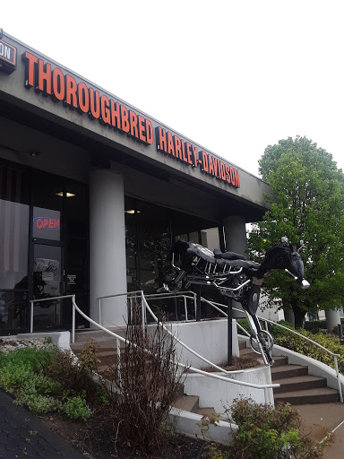 Harley-Davidson Dealer «Thoroughbred Harley-Davidson», reviews and photos, 8025 Action Blvd, Florence, KY 41042, USA