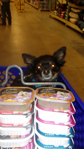 Pet Supply Store «PetSmart», reviews and photos, 5418 E 41st St, Tulsa, OK 74135, USA