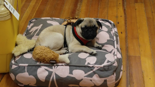 Gift Shop «Chet Miller», reviews and photos, 118 W Parrish St, Durham, NC 27701, USA