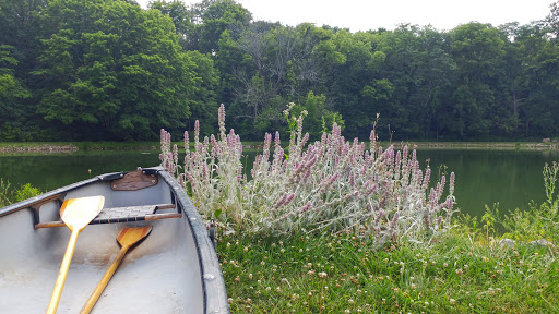 Brewery «Rockmill Brewery», reviews and photos, 5705 Lithopolis Rd NW, Lancaster, OH 43130, USA