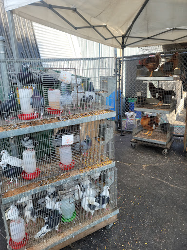 Animal Feed Store «Farmers Feed & Pet Supply», reviews and photos, 1302 E Miner Ave, Stockton, CA 95205, USA