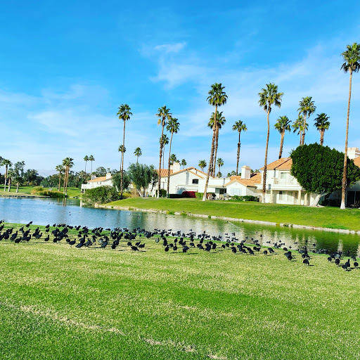 Golf Course «Desert Falls Country Club», reviews and photos, 1111 Desert Falls Pkwy, Palm Desert, CA 92211, USA