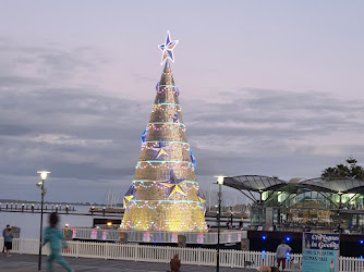 Floating Christmas Tree & Light Show