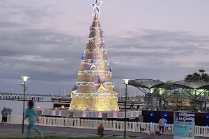 Floating Christmas Tree & Light Show image