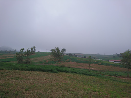 Top 17 cửa hàng brother Huyện Mộc Châu Sơn La 2022