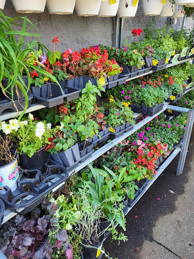 Department Store «Walmart Supercenter», reviews and photos, 2251 IN-54, Linton, IN 47441, USA