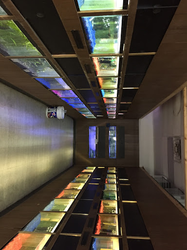 Pet Store «Inland Reef Pet Store», reviews and photos, 817 Cross Lanes Dr, Cross Lanes, WV 25313, USA
