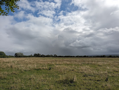 Marais Vernier à Bouquelon