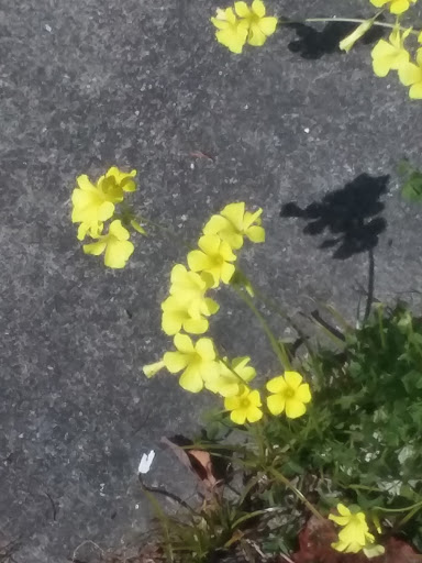 Book Store «Barnes & Noble», reviews and photos, 700 4th St, Santa Rosa, CA 95404, USA