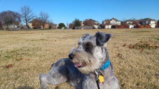 Park «Neighborhood Park - Frank Beverly Park», reviews and photos, 7112 Quarry Chase Trail, Plano, TX 75025, USA