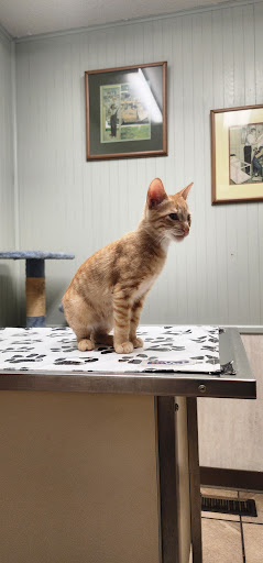 Animal Health Care Center-Arcola image