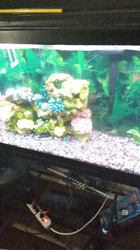 Tropical Fish Store «Monfort Aquarium & Pet», reviews and photos, 6520 Colerain Ave, Cincinnati, OH 45239, USA