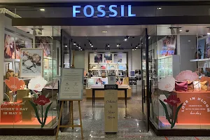 Fossil - Empire Gallery image