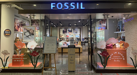 Fossil - Empire Gallery
