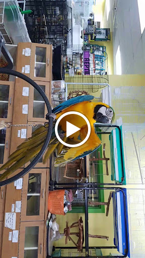 Pet Supply Store «Our Pet World», reviews and photos, 380 Semoran Commerce Pl, Apopka, FL 32703, USA