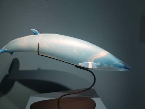 Art Museum «The Island Museum of Art», reviews and photos, 540 Spring St, Friday Harbor, WA 98250, USA