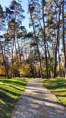 Iuliu Prodan Park