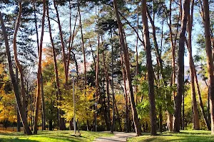 Iuliu Prodan Park image