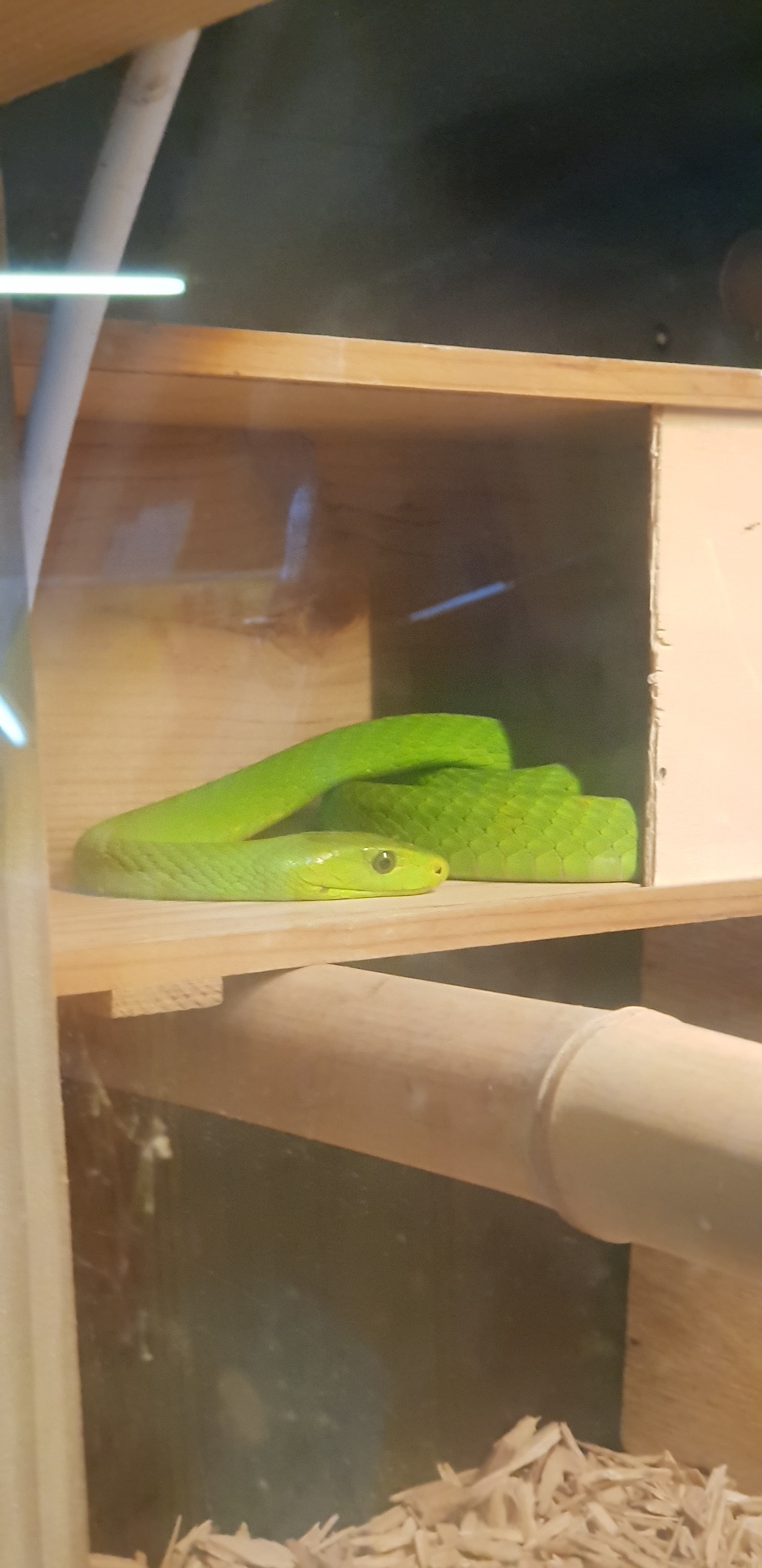 Photo n° 3 de l'avis de Valérie.o fait le 29/08/2018 à 07:52