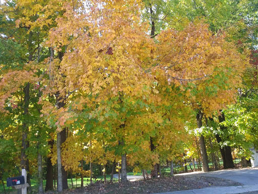 Golf Course «Old Oakland Golf Club», reviews and photos, 11611 E 75th St, Indianapolis, IN 46236, USA