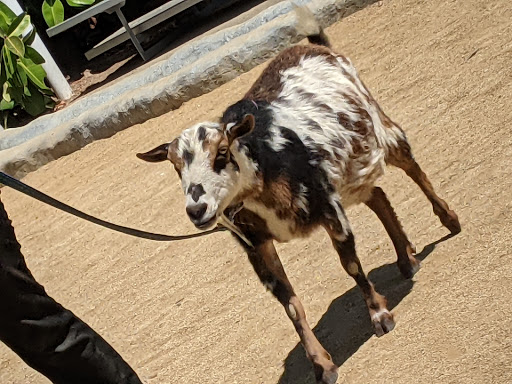 The Teaching Zoo at Moorpark College image