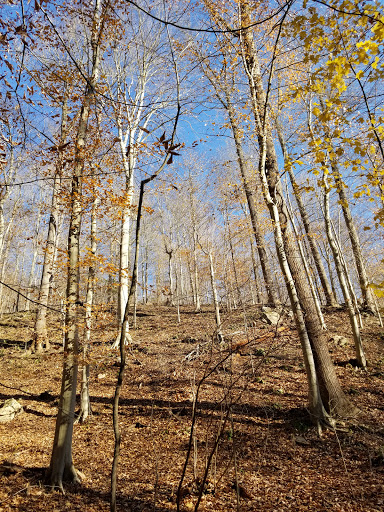 Park «Patapsco State Park», reviews and photos, 1101 Hilton Ave, Catonsville, MD 21228, USA