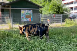 Buurtboerderij Gliphoeve image