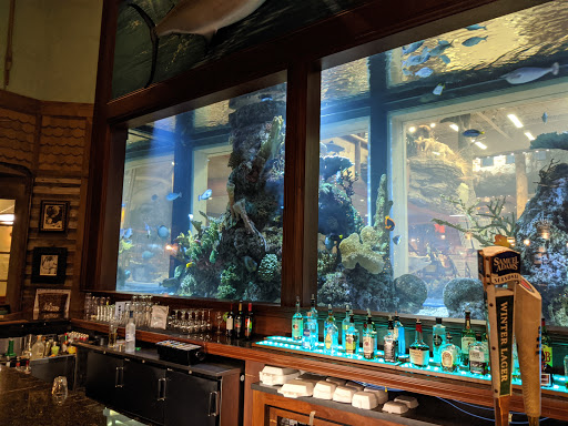 Sporting Goods Store «Bass Pro Shops», reviews and photos, 6425 Daniel Burnham Dr, Portage, IN 46368, USA