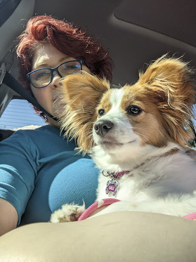 Pet Store «All Pets Club», reviews and photos, 1167 N Colony Rd, Wallingford, CT 06492, USA