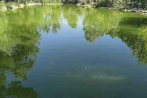 Kapıçam Nature Park image