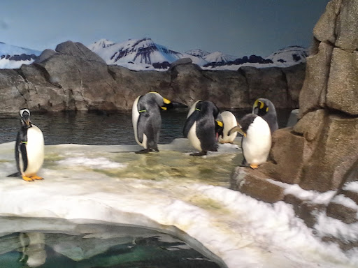 Golf Course «Swope Park Disc Golf Course», reviews and photos, 6900 Elmwood Ave, Kansas City, MO 64132, USA