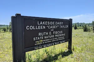 Lakeside Daisy State Nature Preserve image