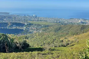 Lady Chancellor Hill Lookout image