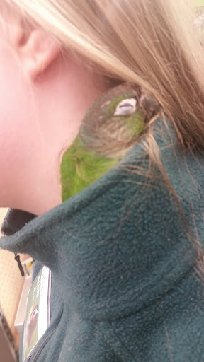 Pet Supply Store «Pet Supplies Plus», reviews and photos, 955 Co Rd E East #100, Vadnais Heights, MN 55127, USA