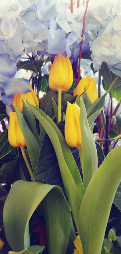 Episcopal Church «St. James Episcopal Cathedral», reviews and photos, 65 E Huron St, Chicago, IL 60611, USA