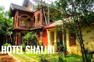 Hotel Shalini image