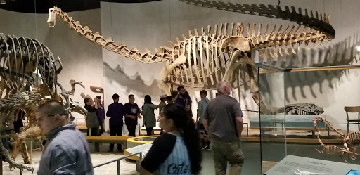 Art Museum «Museum of Contemporary Art Denver», reviews and photos, 1485 Delgany St, Denver, CO 80202, USA