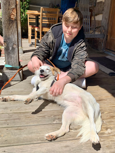 Coffee Shop «Inglebean Coffee House», reviews and photos, 106 E Main St, Millheim, PA 16854, USA