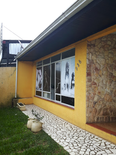 X-Vet - Centro Veterinário de Diagnóstico - Veterinário