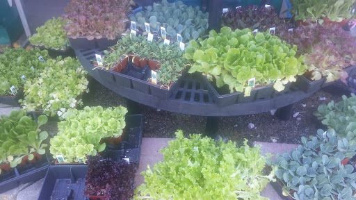 Pet Supply Store «Agway of Manchester», reviews and photos, 33 Adams St, Manchester, CT 06042, USA