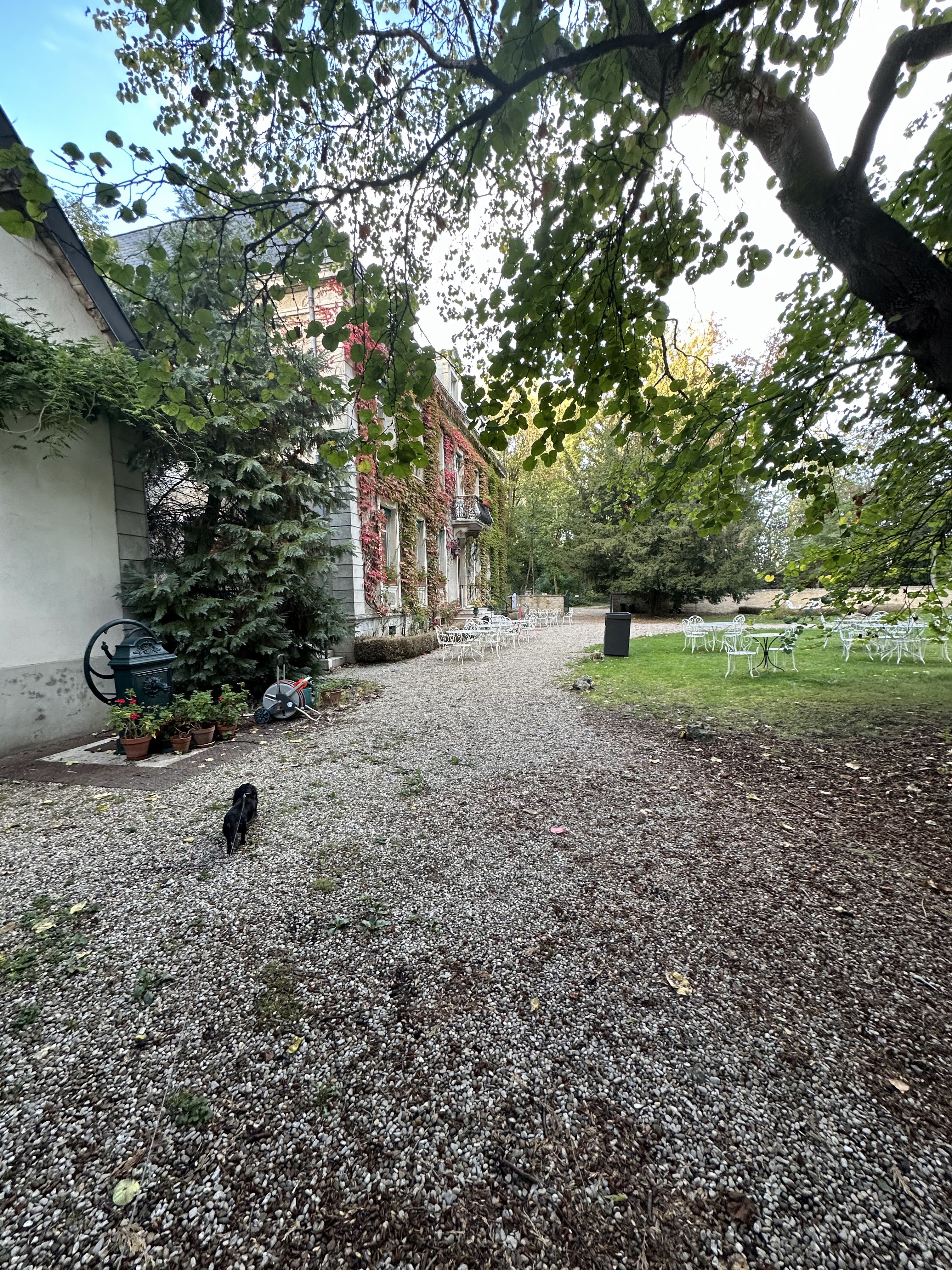 Photo n° 7 de l'avis de Adam. fait le 22/10/2023 à 17:02
