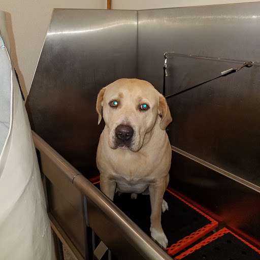 Benny and Jack, 577 Kingstown Rd, South Kingstown, RI 02879, USA, 