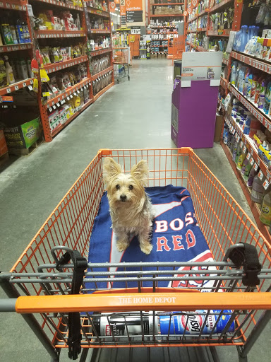 Home Improvement Store «The Home Depot», reviews and photos, 177 Willard St, Quincy, MA 02169, USA