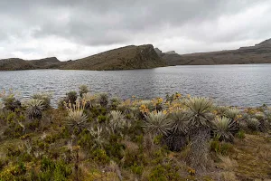 Natural Sumapaz National Park image