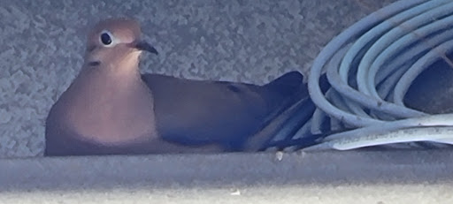 Home Improvement Store «The Home Depot», reviews and photos, 1510 Ring Rd, Elizabethtown, KY 42701, USA