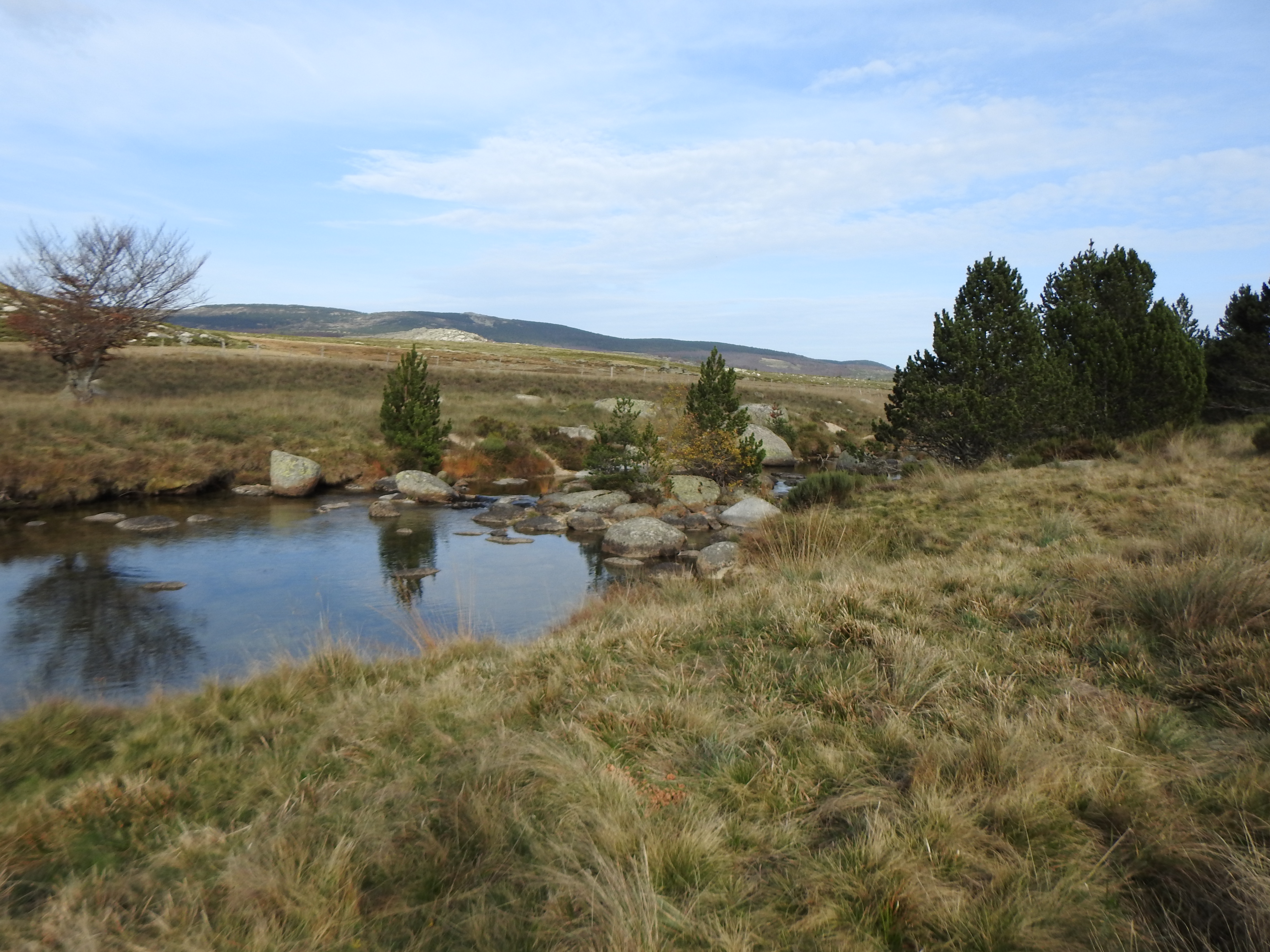 Photo n° 19 de l'avis de gerd.a fait le 11/11/2022 à 11:12