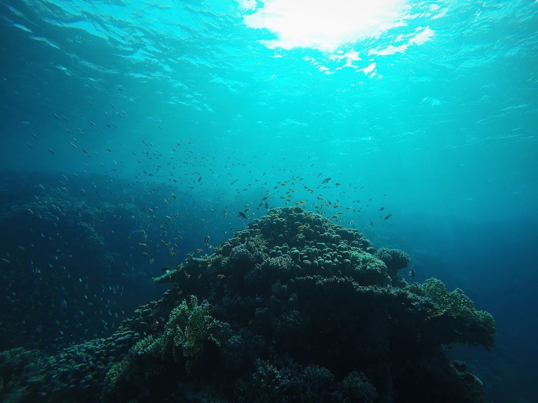 Colona Divers Hurghada