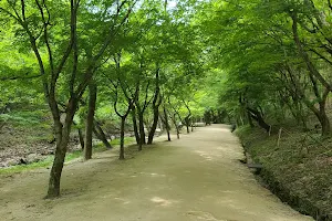 Gujanggun Falls image