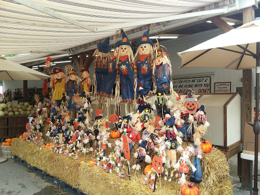 National Park «Cuyahoga Valley National Park», reviews and photos