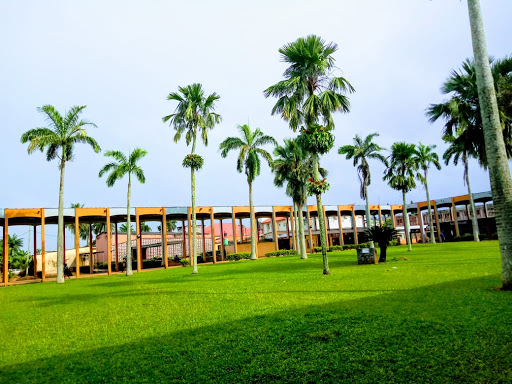 Adeyemi College of education Ondo, Adeyemi College of Education, 351101, Ondo, Nigeria, Engineering Consultant, state Ondo